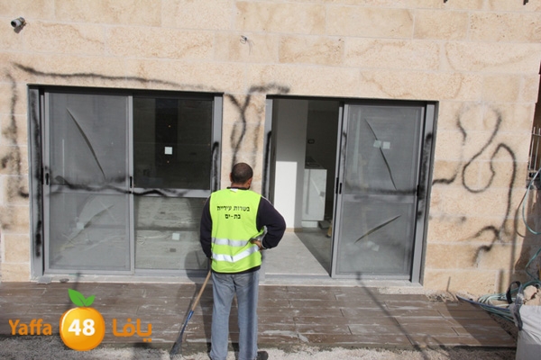 manzel faitsman 0127 (1).JPG